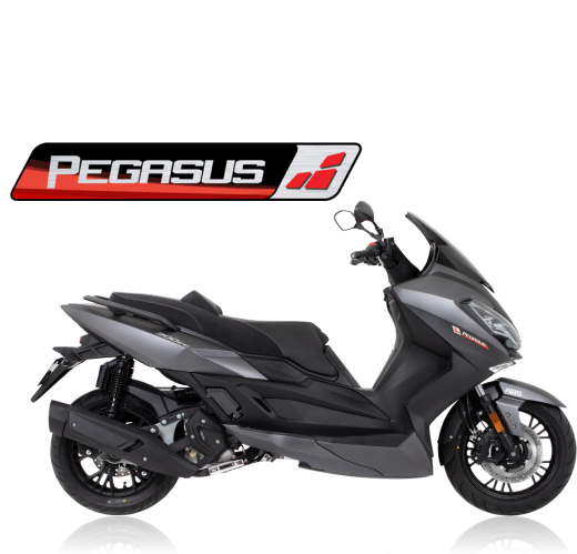 Lexmoto Pegasus 300 Euro 5